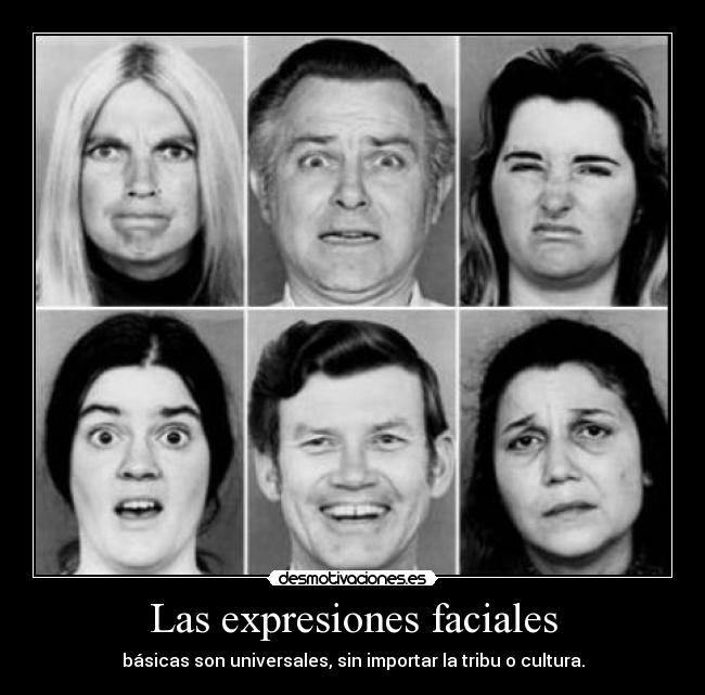 expresion